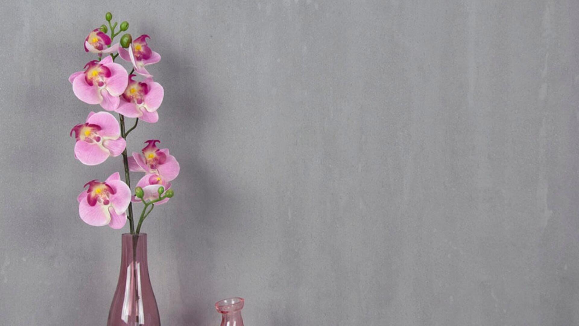 A light pink orchid in a pink vase sits on a surface against a plain gray wall. A smaller, empty pink glass bottle is next to the vase.