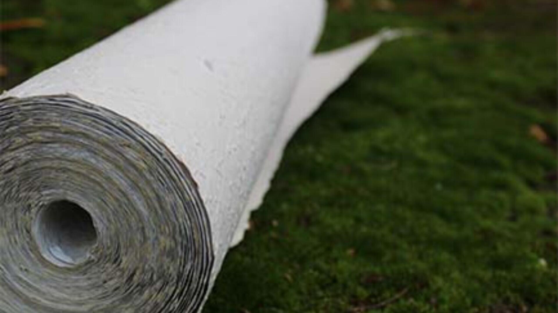 A close-up of a rolled-up sheet of white material, possibly paper or fabric, lying on a green, mossy surface outdoors.