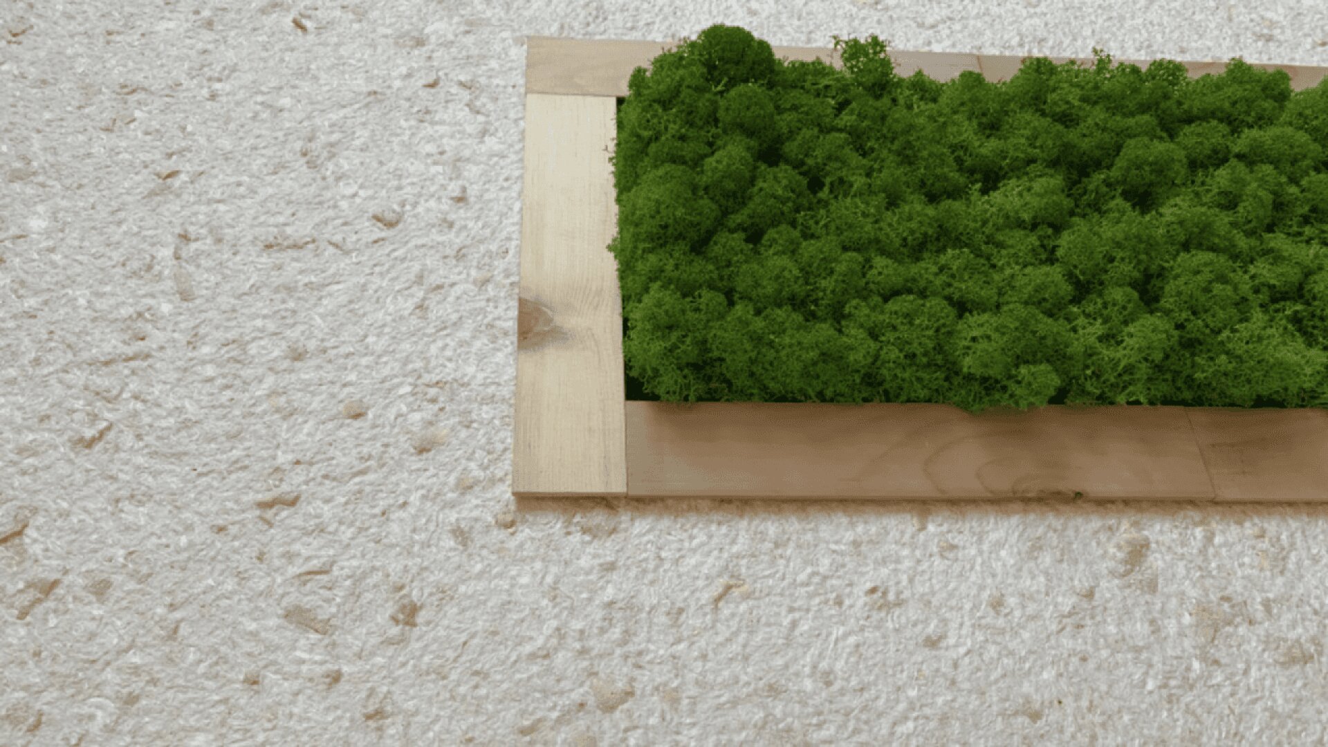 A rectangular wooden frame filled with green moss is placed on a textured beige surface, with the frame positioned in the top right corner of the image.