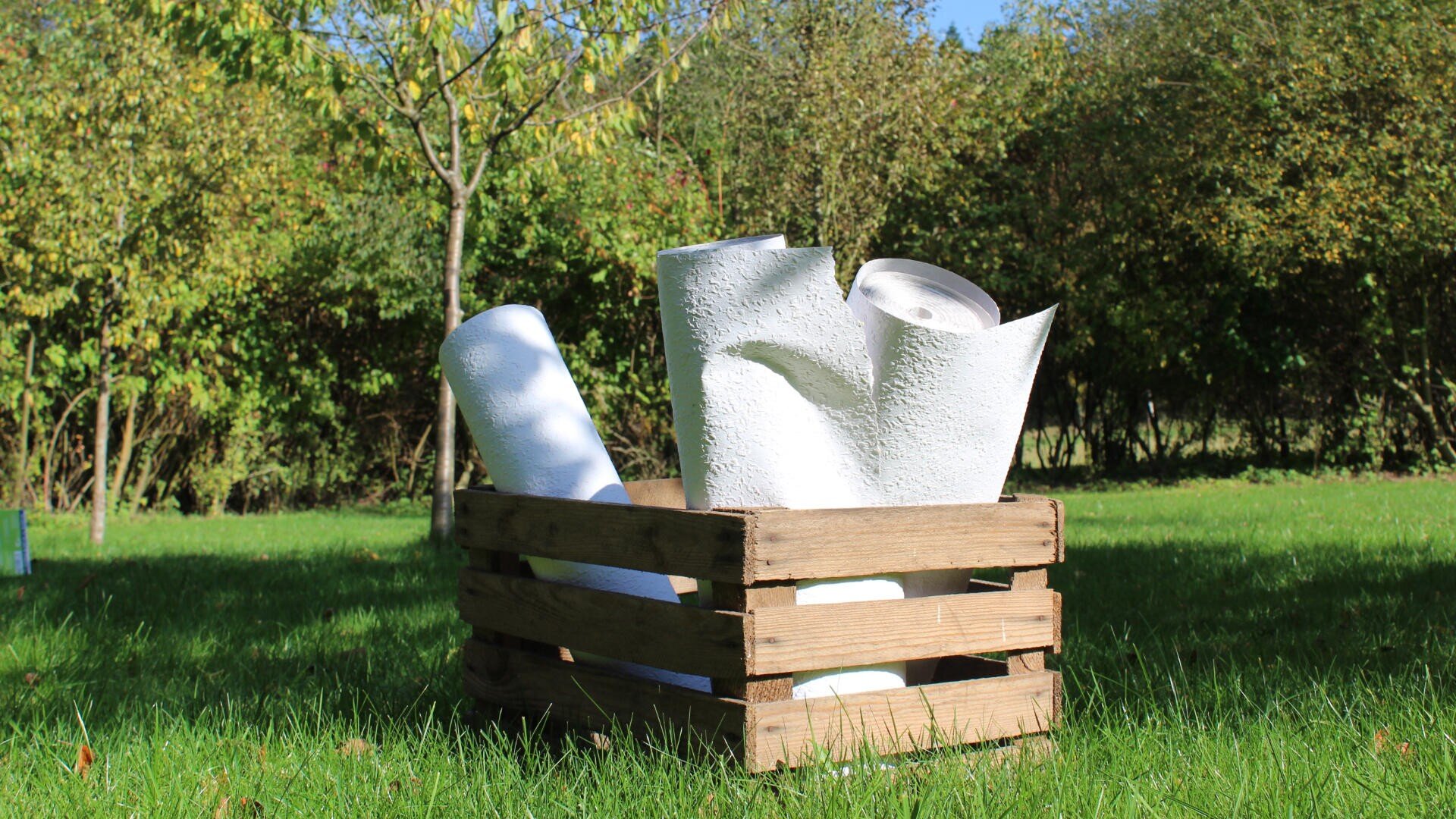 In einem sonnenbeschienenen Hof steht auf dem Gras eine Holzkiste, in der sich mehrere große, aufgerollte Blätter aus weißem strukturiertem Material, möglicherweise Papier oder Stoff, befinden. Im Hintergrund sind Bäume und Büsche zu sehen.